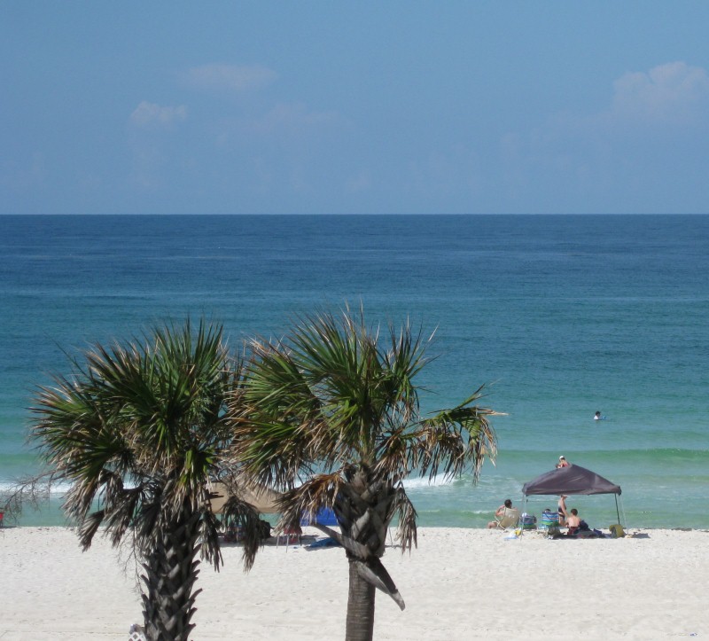 [486dd6fe-7029-41eb-9e04-2a1f114d9804.jpg]