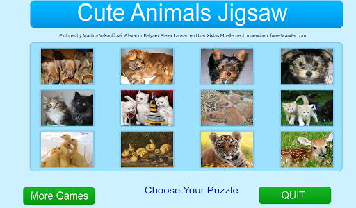 Cute Animals Jigsaw