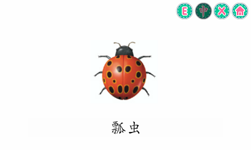 图画字典 （动物）(圖5)-速報App