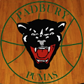 Padbury Pumas Apk