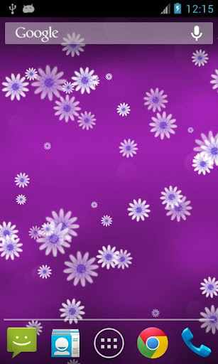 Daisy Flower Pro Live WP