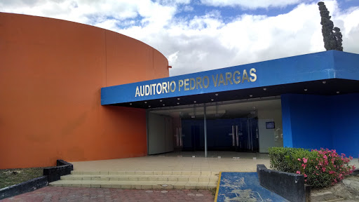 Auditorio Pedro Vargas 