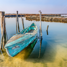 waiting fishery by Paulo Veiga - Transportation Boats