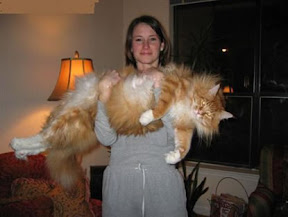 large cat