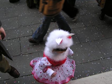 child cat costume