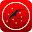 AsianWings Download on Windows