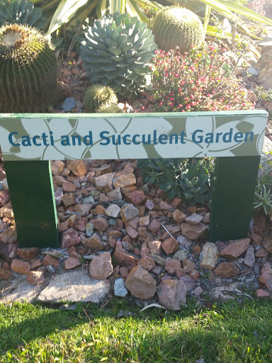 Cacti And Succulent Garden
