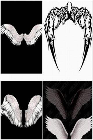 Wings Wallpaper