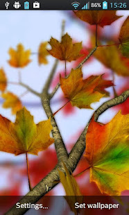 Autumn Leaves in HD Gyro 3D Parallax Wallpaper(圖2)-速報App