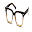 Opticals Patient Manager Download on Windows