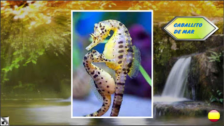 Educational flashcards poster 17