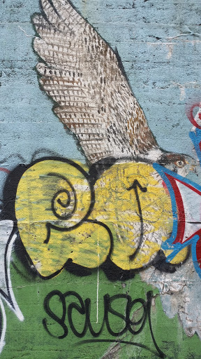 Hawk Mural