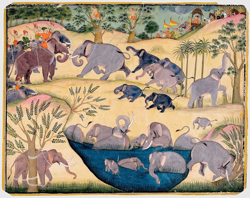 The Elephant Hunt of Maharaja Anup Singh of Bikaner