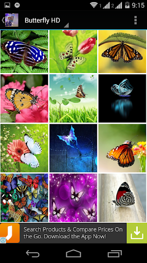 【免費個人化App】Colourful Butterfly HD-APP點子