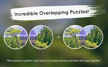 Venn Trees: Circle Jigsaw poster 15