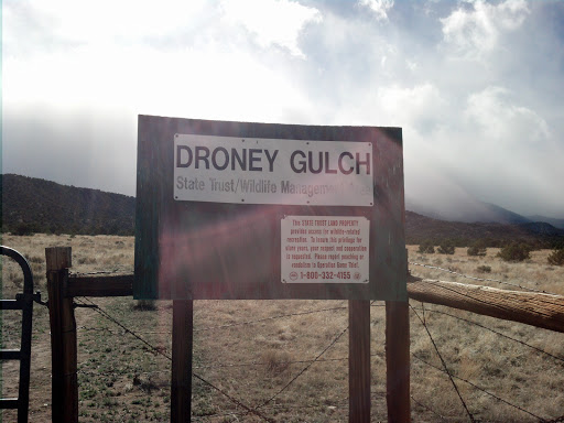 Droney Gulch Trailhead
