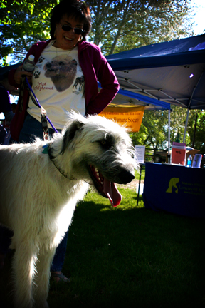 FF2008_IMG_0851.jpg