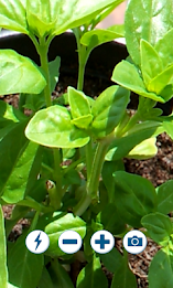 camera zoom free poster 1