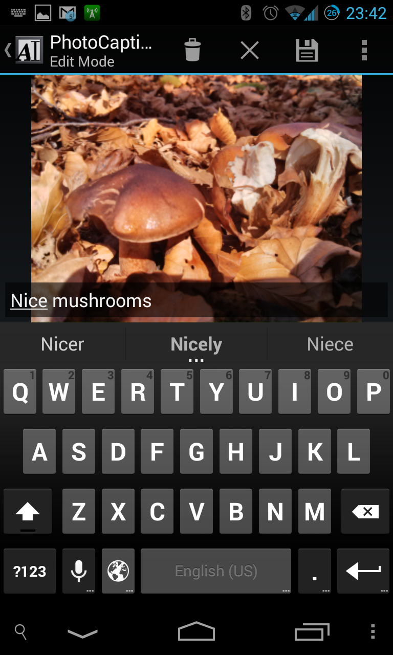 PhotoCaption Screen 3