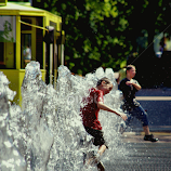 by Piotr B. Tubylec -  