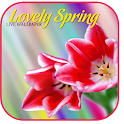 Lovely Spring LiveWallpaper