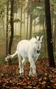 download Kuda Bertanduk Gambar Animasi free