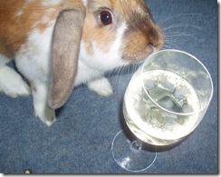 bunny wine 1