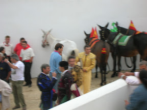 El patio de caballos de la plaza de toros de Pozoblanco en la pasada Feria 2008. Foto: Pozoblanco News