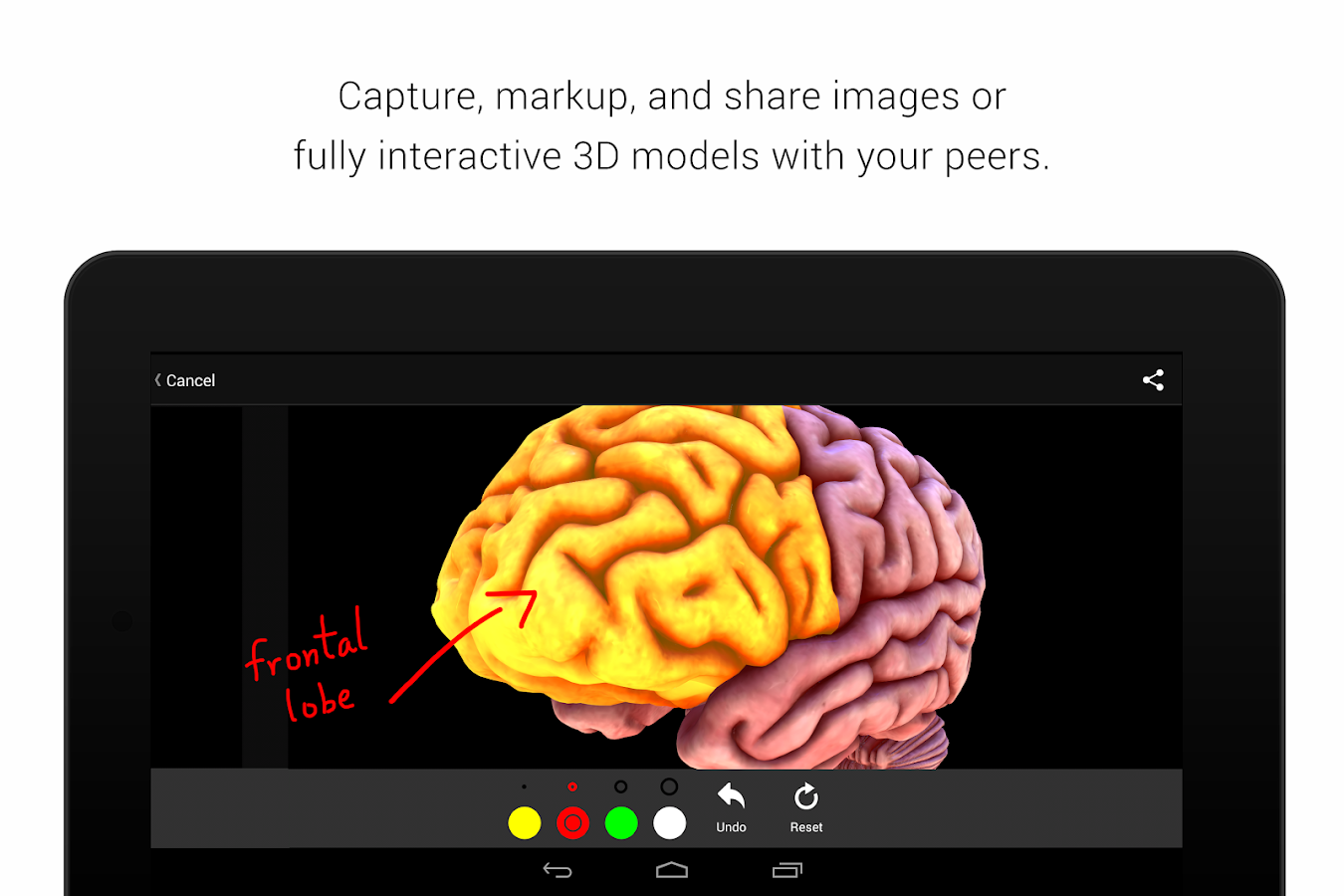    BioDigital Human - 3D Anatomy- screenshot  