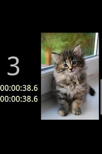 Cats Puzzle 2 HD Screenshots 3