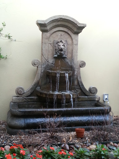 Roaring Fountain