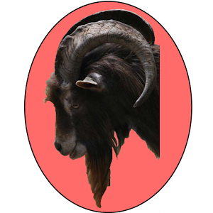 Glock - Free Widget Goat Clock.apk 1.0