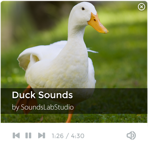 【免費音樂App】Duck Sounds-APP點子