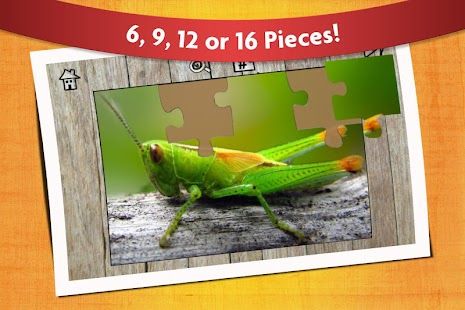 Kids Games Bugs Jigsaw Puzzles Screenshots 12