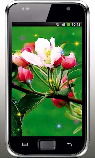 【免費個人化App】Apple Blossoms live wallpaper-APP點子