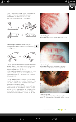 免費下載書籍APP|Fish Diseases app開箱文|APP開箱王