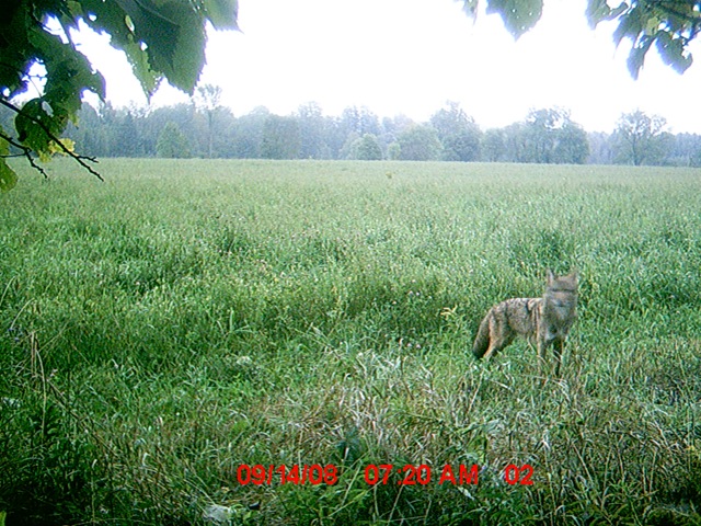 [MDGC0004[3].jpg]