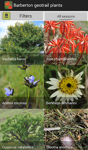 Plants of Barberton Geotrail