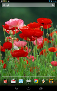 How to download Red Poppies 3D Wallpaper 6.0 apk for bluestacks