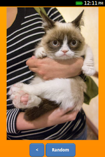 How to mod Cheer Up! lastet apk for laptop