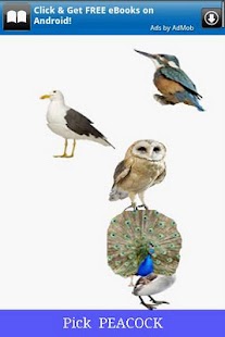 Download Bird Kidz APK for Android