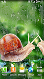 Rain Live Wallpaper
