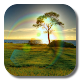 zz[Unpublish]Sunlight Rainbow LWP APK