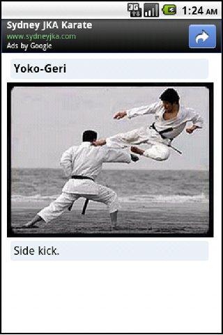Karate Screen 2