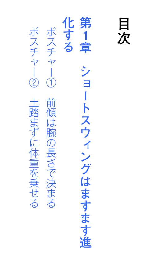 坂田信弘　新スウィング進化論 Screen 2