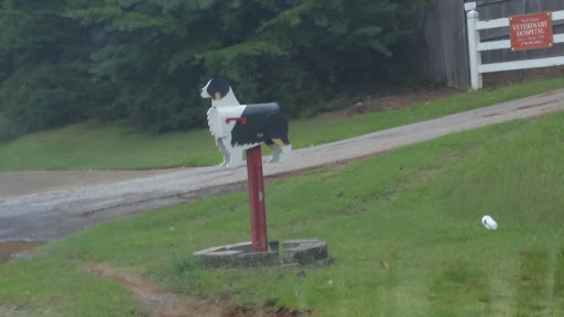 Dog Mailbox