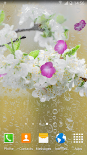 Cherry Blossom Live Wallpaper(圖2)-速報App