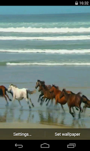 Amazing horses Video LWP(圖1)-速報App