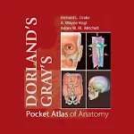 Cover Image of Baixar Atlas de Anatomia de Bolso de Gray de Dorland 4.3.128 APK