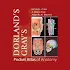 Pocket Atlas of Anatomy TR8.0.249